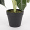 Mica Decorations Alocasia Kunstplant in Bloempot - H50 x Ø30 cm - Groen