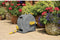 Hozelock Compact Reel 2 in 1 slanghaspel inclusief 25 m slang