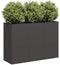 vidaXL - Plantenbak - 120x40x80 - cm - koudgewalst - staal - zwart