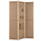 Coast Scheidingswand Ruimteverdeler - 3-Delig, Haken, Opbergvakken, Inklapbaar - 170 x 2 x 121 cm -