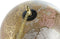 Wereldbol DKD Home Decor Bruin Gouden PVC Metaal Steen 22 x 20 x 33 cm