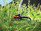 BLACK+DECKER GL9035-QS - Elektrische Grastrimmer 900W - 35cm maaibreedte - Ergonomisch ontwerp