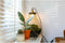 Growing Concepts DIY Duurzaam Ecosysteem Giants Ecolight XL - 20 Liter - Planten - Botanische Mix - H42xØ40cm