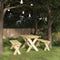 vidaXL - Tuinbank - 110 - cm - geïmpregneerd - grenenhout
