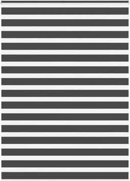 vidaXL - Zebra - rolgordijn - 155x230 - cm - stofbreedte - 150,9 - cm - zwart