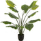 J-Line plant Taro Wild in pot - kunststof - groen - large