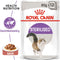 Royal Canin Sterilised in Gravy - Katten Natvoer - 12 x 85 g