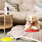 Arenti P3TT - Wifi Beveiligingscamera - Dual Lens - 3MP - Beweegbaar - Full360° bewaking - HD - Besturing via App - Onvif