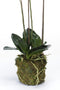 Emerald Kunstplant vlinderorchidee 70 cm wit