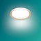 Philips Pebblo plafondlamp - Ultra Efficient - SceneSwitch 10W - Warmwit - Wit met goud design