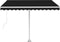 vidaXL - Luifel - vrijstaand - handmatig - uittrekbaar - 300x250 - cm - antraciet