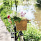 Basil Bremen Rattan Look KF Fietsmand - Afneembaar - Kunststof - Seagrass