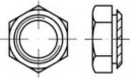 TOOLCRAFT 159296 Schotmoeren M3 Staal Galvanisch verzinkt 100 stuk(s)