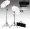 vidaXL - Fotostudioset - met - achtergrond, - lampen - en - paraplu's