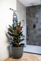 Capi Europe - Bloempot bol Waste Smooth NL - 43x41 - Terrazzo grijs - Opening Ø35 - Bloempot voor binnen en buiten - Levenslang garantie - Breukbestendig - 100% Recyclebaar - CO2 Neutraal geproduceerd - KTG933