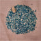 Plant in a Box - Clematis patens - Set van 4 Clematis Multi Blue - Winterharde klimplanten - Pot 15cm - Hoogte 60-70cm