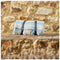 Picknickkleed Polo Cottage Blauw - Wol - Waterdicht - 145x183cm - Tweedmill