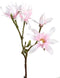 PTMD Magnolia Flower Japanse Magnolia Kunsttak - 23x23x63 cm - Roze