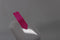 APPLE AirPods Pro (2e generatie) - In-ear - ANC - USB-C - Bluetooth 5.3