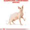 Royal Canin Sphynx Adult - Kattenvoer - 2 kg
