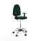 Piqueras y Crespo B1D05RP - Bureaustoel - Hoogteverstelbaar met armleuning - Groen