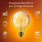 Philips Vintage LED - Dimbare filament lamp - 60W - Extra warmwit licht 1800K - E27 fitting - Amberglas - Globe G95