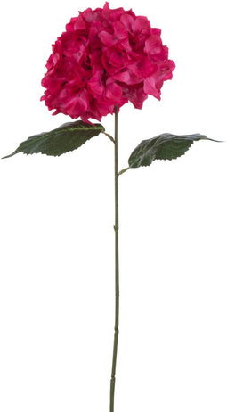 J-Line bloem Hydrangea Sproeier - kunststof - roze