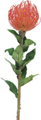 Nutans Segal red 74cmNova Nature