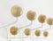 Vitra Hnag It All Wandkapstok Witte Den