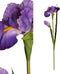 PTMD Garden Bloem Iris Kunsttak - 70 x 21 x 95 cm - Paars
