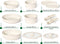 JUST PERFECTO JL-999 - 11-delige pannenset - Afneembare handgrepen - Beige (11 stuks)