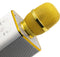 Technaxx BT-X31 - Karaoke microfoon - Bluetooth met 2 luidsprekers - Goud