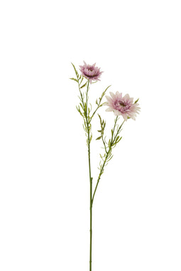 J-Line bloem Madelief - kunststof - lichtpaars - 24 stuks