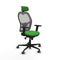 Piqueras y Crespo 2D036G2 - Bureaustoel - Verstelbare hoofdsteun - Groen