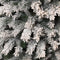 Black Box Chandler Franse kunstkerstboom frosted maat in cm: 230 x 127 groen - GROEN
