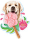 Smoofl Premium Hondensnacks: Ijs voor honden als een snack om af te koelen in de zomer en als een gezonde hond traktatie met verfrissend effect, honden ijs met aardbei