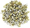 NWS 151E-5,0-2 Oog 5 mm 100 stuk(s)