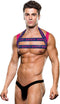 ENVY LOGO HARNESS BLUE PINK, S/M