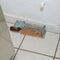 Gardigo Live Mouse Trap Niet dodelijke val Functies: Lokstof 1 stuk(s)