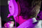 Konix Hello Kitty - Gaming Headset - Draad - Microfoon - Roze/Wit