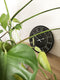 nXt - Wandklok - 40 cm - Hout - Zwart - 'Paul'