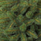 Triumph Tree Bristlecone Kunstkerstboom - H120 x Ø79 cm - Groen