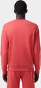 Lacoste Sweater - Regular-Fit - Rood - Maat S
