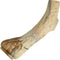 Nylabone durable chew nylon antler medium