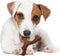 Nylabone extreme chew wishbone bison - Default Title