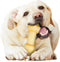 Nylabone Extreme kauwbot knoop