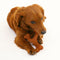 Nylabone Gourmet Wishbone Bacon - Hondenspeelgoed - Small