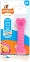 Nylabone Puppy kauwbot voor wisselgebit met kipsmaak In roze of blauw - XS - Blauw