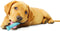 Nylabone Puppy kauwbot voor wisselgebit met kipsmaak In roze of blauw - XS - Blauw