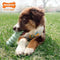 Nylabone Puppy Tactile Stok - Hondenspeelgoed - Pindakaas Mintgroen Voor Pups Tot 11kg S